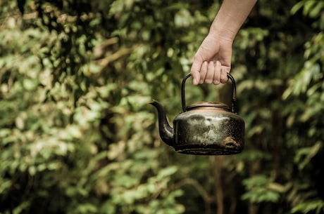 探秘野生番石榴茶：品味山野醇香，寻找自然的味道