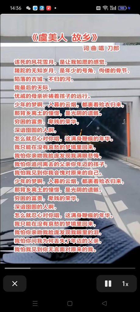 虞丽娟，虞丽娟的音乐故事