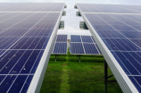 新能源龙头公司在绿色产业链中发挥的作用