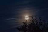 故事情节精彩纷呈的暗夜行者剧情介绍
