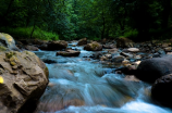 汩汩流淌的溪水-自然