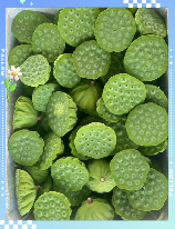 莲蓬怎么吃，你知道莲蓬怎么吃吗？莲蓬的这种吃法你绝对没有尝试过！