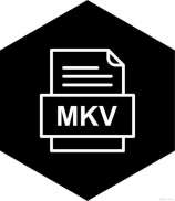flv转mp4，FLV转MP4，让你的视频体验更畅快