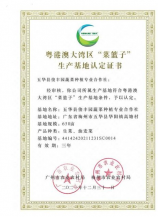 丁宁退役，女乒名将丁宁退出国家队球员阵容