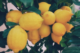 柠檬红豆薏米饮，真的可以帮助你减肥吗？